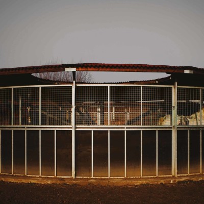 Image of George Eksts