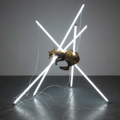 Image of Steve Bishop