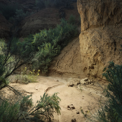 Image of Tim Simmons