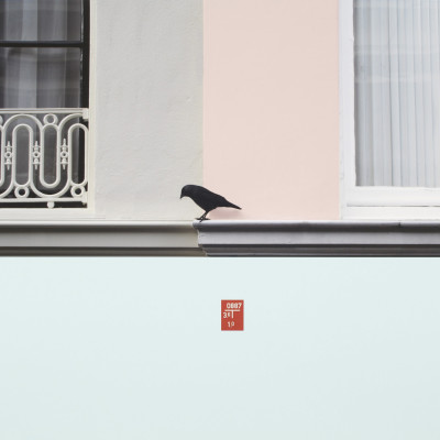 Image of Cornelia Baltes