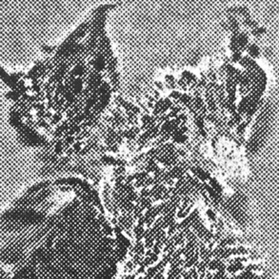 Image of Joseph Gower