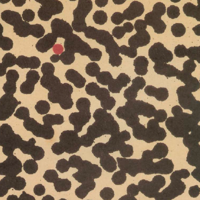 Image of Katherine Mckee