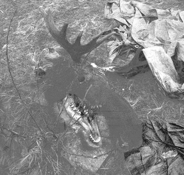 Apperley_BNC_ Blog1.jpg