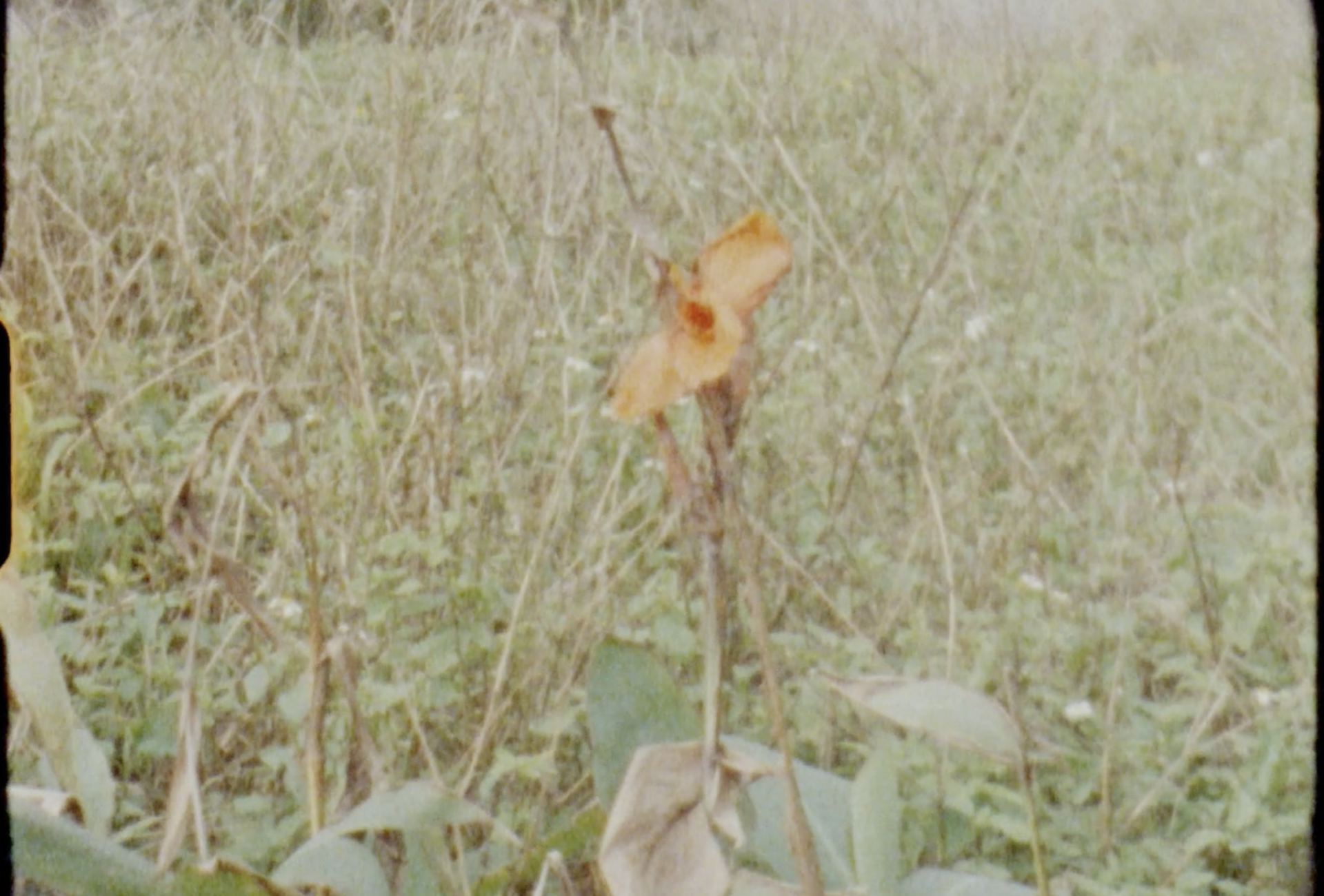 New Contemporaries Image.png