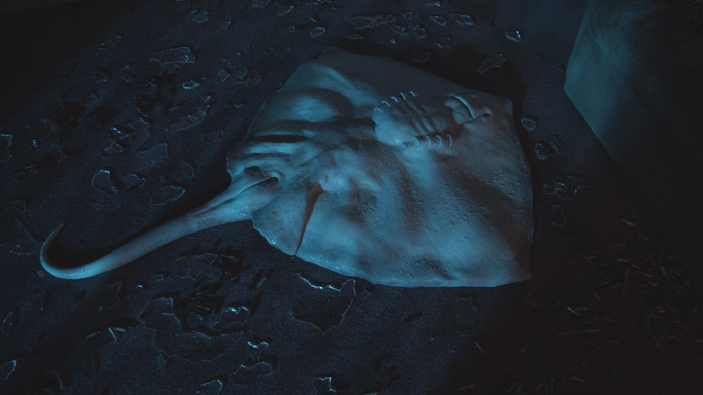 3340 Pete Donaldson - Donaldson_Lonesome Companion_WEB.jpg