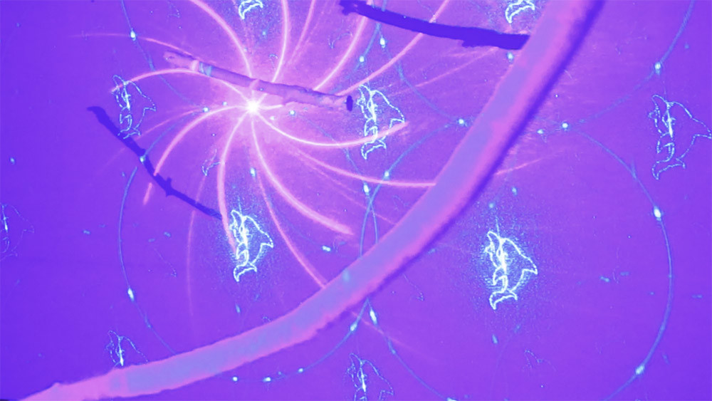 3200 Žaneta Zukalová - Zukalova_Image5_WEB.jpg