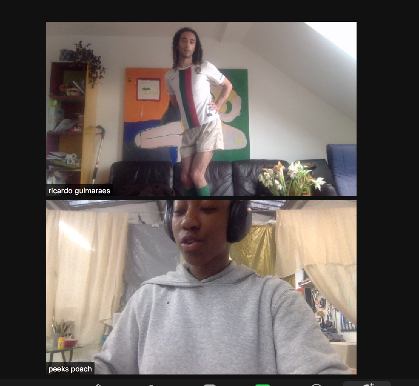 Zoom screen shot.png