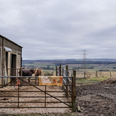 Image of Hamish Halley