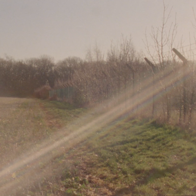 Image of Kneed: Ishwari Bhalerao and Leonie Rousham