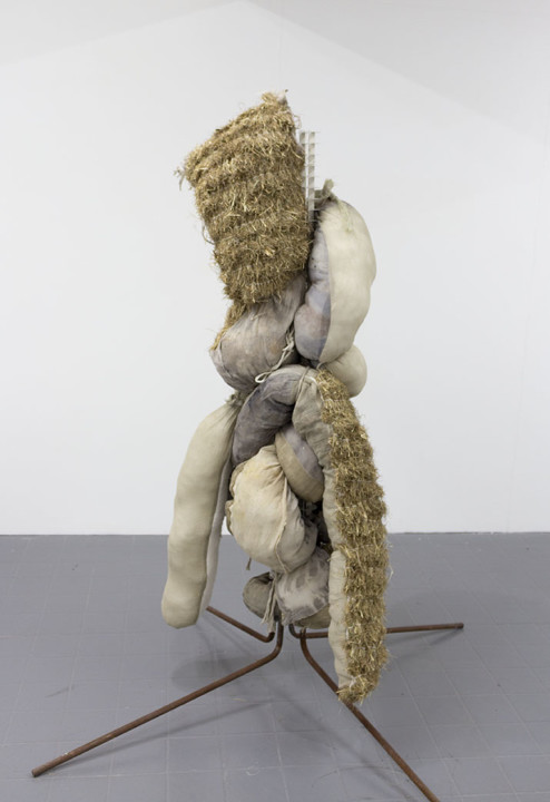 Nicole Sheppard - Sheppard_EntanglelmentstudyIV_WEB.jpg