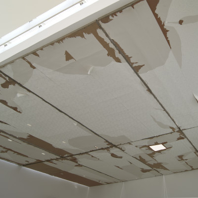 Image of Motunrayo Akinola