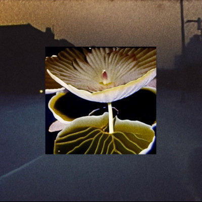 Image of Gregor Petrikovič