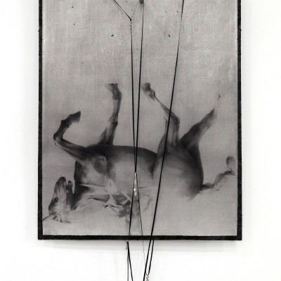 Image of Aaron Alexander Smyth